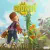 Rioma - Growth - Single